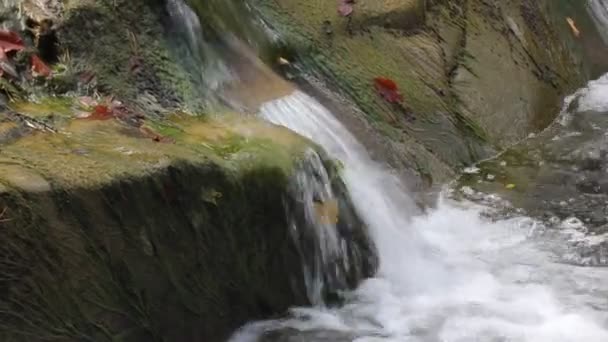 Průhledně čistá voda v horské řece. Prudký proud, rychlý proud pramenité vody. Kamenné lůžko s kamennými troskami. Kameny zarostlé mechem, zelenými řasami, spadlými podzimními listy. Vodopád na podzim. — Stock video