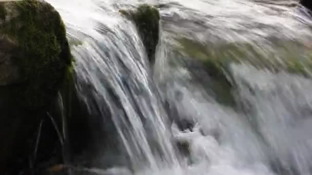 Horské peřeje. Průhledně čistá voda v řece. Prudký proud, rychlý proud pramenitých vod. Kamenné lůžko, kamení, šedé kameny. Vodopád v parku, les, dřevo při studeném pádu, jarní sezóna — Stock video