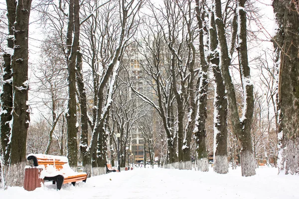 寒い日には雪に覆われた冬の公園の中に捨てられた道があります 裸の枝を持つ都市公園内のウォーキングパス 雪に覆われた木製のベンチ 外を歩く場所 — ストック写真