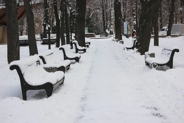 寒い日には雪の多い冬の公園を一周する孤独な道 雪に覆われた列に裸の木や木製のベンチを持つ都市公園内の人々なしで歩く道 都会の風景 冬の時間 — ストック写真