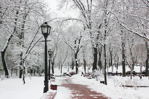 寒い日には雪の歩道が冬の公園の距離に入ります 白い雪に覆われた裸の木で街の公園を歩く道 冬の風景 街路灯用黒街灯 — ストック写真