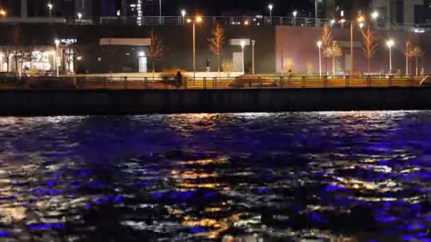 晚上的堤岸 人们在河边 湖边的小径上漫步 城市环境中的海洋兴奋 海洋景观 蓝色波浪 街灯照亮了道路 — 图库视频影像