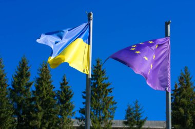 Bukovel, Ukrayna, 7 Ekim 2021. Ukrayna 'nın sarı mavi bayrağı ve mavi gökyüzüne ve ormandaki yeşil çam ağaçlarına karşı dalgalanan AB bayrağı. Avrupa Birliği sembolü. Ukrayna 'nın bağımsızlığının sembolü..