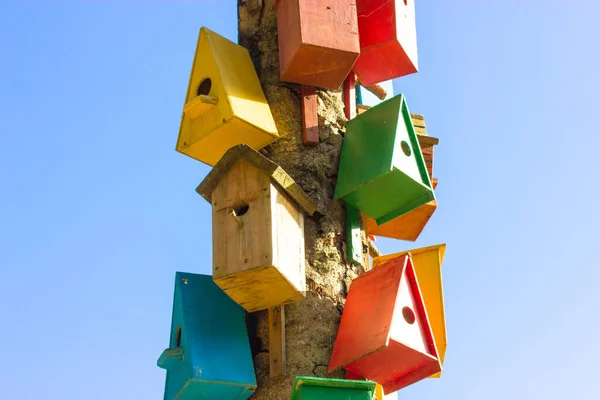 Belle Case Uccelli Multicolori Appese All Albero Sullo Sfondo Del — Foto Stock