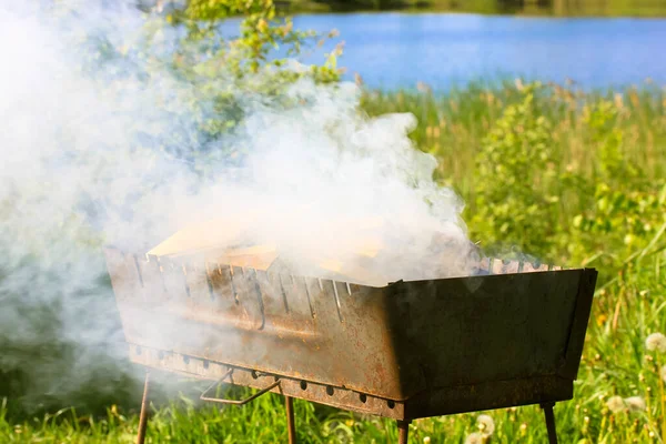 自然の上で煙とバーベキュー 喫煙グリル 公園の屋外料理の火鉢 素晴らしい風景 川の青い水 晴れた夏の日に緑の芝生 池のほとりでの焚き火キャンプファイヤーの煙 — ストック写真