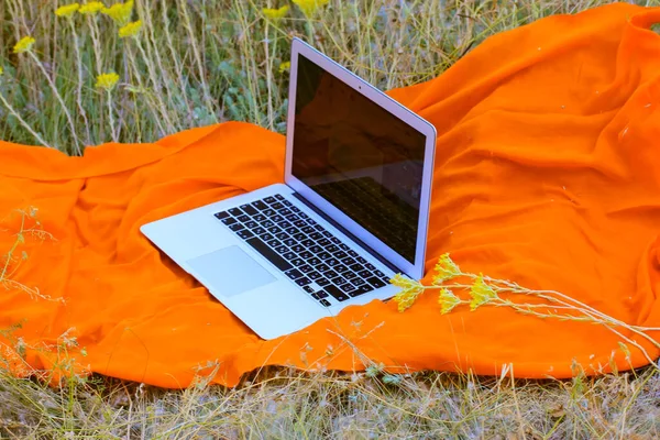 Ένα Γκρι Ανοιχτό Laptop Βρίσκεται Ένα Πορτοκαλί Καρό Στο Πράσινο — Φωτογραφία Αρχείου