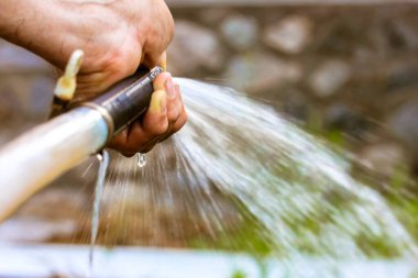 Bahçedeki bitkileri sulamak için hortum tutan adam. Güçlü bir jet, temiz bir su akıntısı, bitkileri hedef alan bir çim damlası. Yazın bahçe bakımı. Su hortumunu yeşil zemine yakın tut.