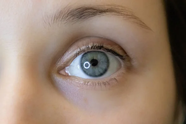 Female Eye Grey Eyed White European Girl Wearing Colored Contact — Stock Fotó