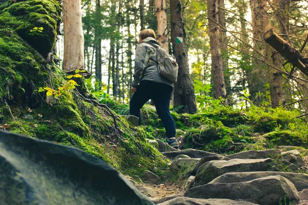 Mujer Excursionista Con Mochila Trepando Por Sendero Sinuoso Piedras Bosques —  Fotos de Stock