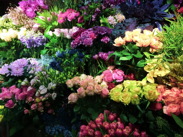花屋さん 花屋さんで展示されているさまざまな花の多く 多色の花 チューリップ カーネーションや他の花の芽 花の暗い背景 花絨毯 — ストック写真