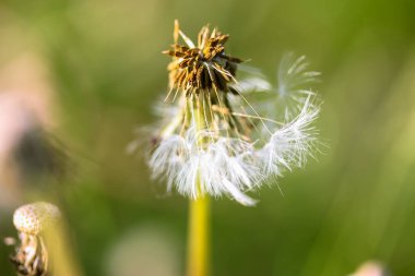 Kyiv, Ukrayna. 1 Mayıs 2019. Bir kız ve bir oğlanı öpüşürken gösteren bir tabela. Öpüşme yeri. Parkta romantik bir yürüyüş. İlk aşk, sevgi, tutku, karşılıklı duygular konsepti. Öp beni