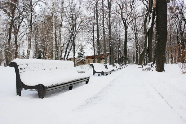 人のいない寒い日に雪の多い冬の公園では 道が遠くに入ります 裸の分岐木と都市公園内のウォーキングパス 雪に覆われた木製のベンチ 外を歩く場所 — ストック写真