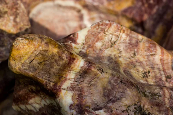 Pedra Natural Tratada Não Tratada Diferentes Cores Texturas Castanho Escuro — Fotografia de Stock