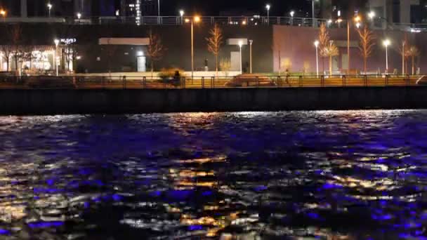 Embankment por la noche, por la noche. Gente paseando por un sendero a orillas de un río, un lago. Excitación en el mar en un entorno urbano, paisaje marino. Olas azules. farolas iluminan el camino. — Vídeo de stock