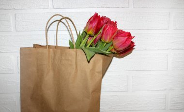 Beyaz tuğla duvarlı arka planda, eko kese kağıdında taze pembe laleler. Anneanneler Günü 'nü kutlarım. Bahar çiçeği açar. Mevsimlik çiçeklenme. Çiçek duvar kağıdı