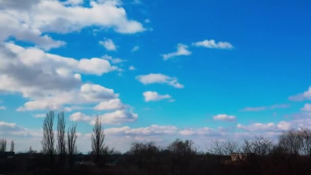 白いふわふわの雲が飛んで 晴れた日には青い空に移動します 水平線に木の裸のシルエット 美しいスカイラインだ 素晴らしいクラウドスケープビデオ タイムラプス映像 新鮮な空気 — ストック動画