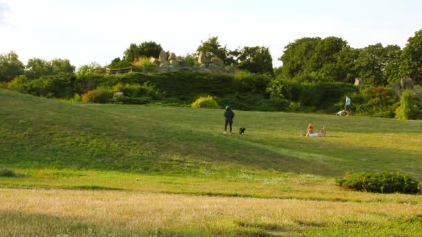 속에서 휴식을 취하는 사람들은 식물원의 잔디밭에 의개를 산책시키고 날에는 공기로 — 비디오