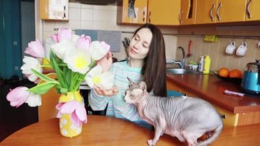 Evde uzun saçlı mutlu bir genç kadın bahar çiçekleri buketini düzeltiyor sarı vazoda pembe beyaz laleler, kel bir Kanadalı Sphynx kedisini okşuyor. Evcil kedisi olan Ukraynalı bir kız.