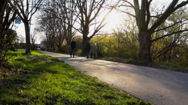 Uzhgorod, Ukrayna. Nisan 12021. İnsanlar güneşli, soğuk bahar gününde şehir parkında geziniyorlar. Ormanda ağaçlarla kaplı yeşil çimenler. Şehir sakinleri izin günlerinde doğada dinleniyorlar.