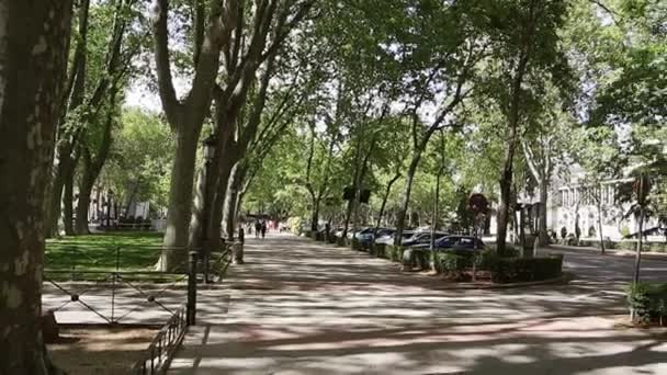 Paseo Del Prado Madrid Spain May 2022 Shady City Park — Video