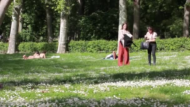 Madrid Espanha Maio 2022 Parque Público Cidade Com Flores Brancas — Vídeo de Stock