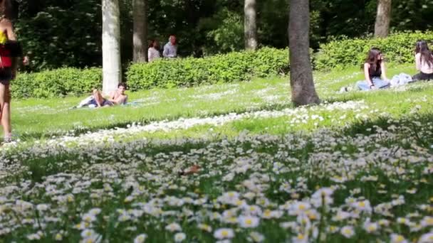 Madryt Hiszpania Maja 2022 Publiczny Park Miejski Zieloną Trawą Kwitnącymi — Wideo stockowe
