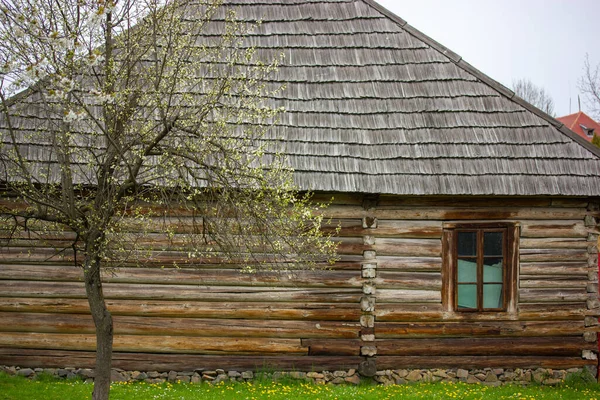 Uzhgorod Ukraine May 2022 Old Wooden Traditional Ukrainian House Stands — Stock Fotó