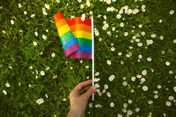 Bright Colored Lgbt Flag Woman Hand Green Grass White Blossoming — Stock fotografie