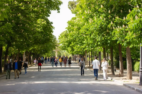 Madrid, İspanya. 9 Mayıs 2022. Baharda Etiro Park 'ta. Yol, yaz bahçesindeki patika, çiçek açan yeşil kestane ağaçları. Yürüyüş mesafeye gidiyor. Hafta sonları sokakta yürüyen bir sürü insan..