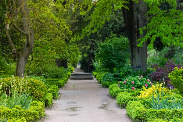 Güzel, boş bir düz yol, Madrid, İspanya 'daki Real Jardin Botanico' da bir patika var. Bahar botanik bahçesi, bir sürü yeşil bitki, filizlenen çalılar, ağaçlar. Yaz Parkı.