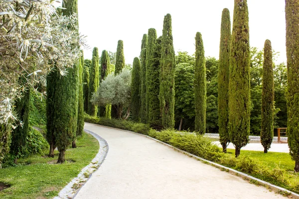 Chemin Terre Sinueux Profondément Dans Parc Public Jardin Botanique Avec — Photo