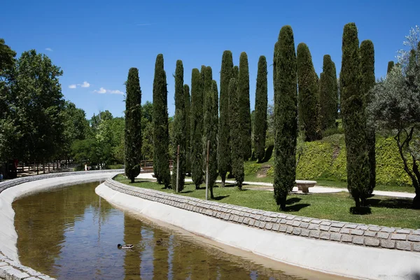 Ogród Cyprysowy Sztuczny Zbiornik Wodny Potok Rzeczka Miejski Park Zielony — Zdjęcie stockowe