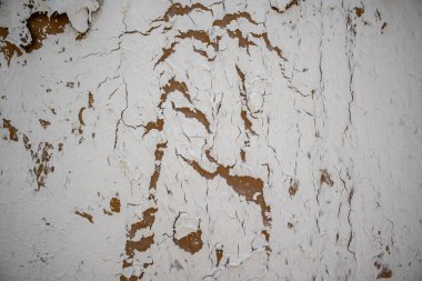 Beyaz duvarın soyulmuş boya ve alçıyla soyulmuş arkaplan dokusu. Harap olmuş yüzey tamir edilmeli. Soyulmak yıpranmış boya. Pullu grunge yüzeyi. Klasik mimari ayrıntıları.