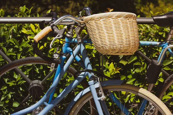 Bicicleta Retro Azul Con Cesta Mimbre Para Paseos Cómodos Por — Foto de Stock