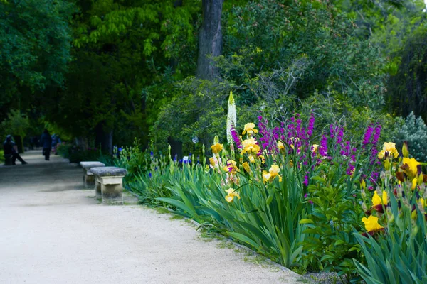 Giardini Botanici Reali Madrid Bella Passerella Con Fiori Primaverili Fiore — Foto Stock