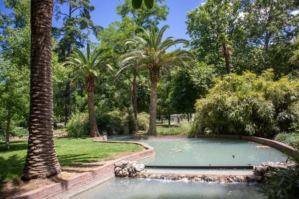 Arroyo Con Agua Azul Verde Jardín Botánico Tropical Parque Soleado —  Fotos de Stock