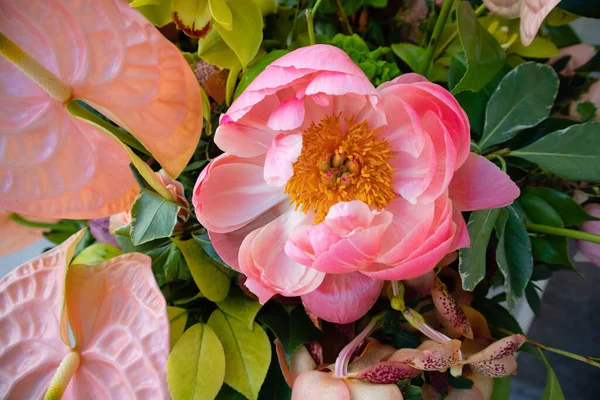エキゾチックな花を持つ美しい花束 ピンクの木の牡丹 アンスリウムピンクの植物の芽を開いた フラミンゴの花 緑の葉の間に優しい花弁 花の壁紙 夏の花 — ストック写真
