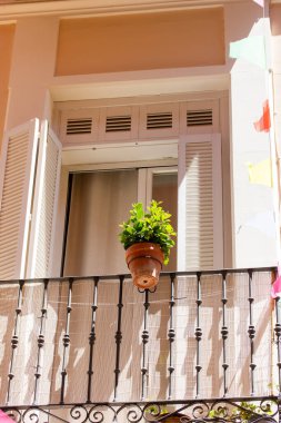 A beautiful balcony facade of an old building, a brown flower pot adorns the terrace. Vertical photo with a cozy European balcony in daylight. Cozy home gardening. Growing plants at home exterior.