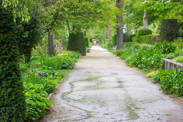 Üres Gyönyörű Egyenes Vezet Real Jardin Botanico Hoz Madridban Spanyolországban — Stock Fotó