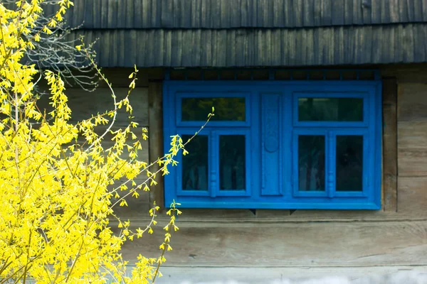 Traditional Ukrainian Hut Old Wooden House Wooden Roof Blue Window — Stock Fotó