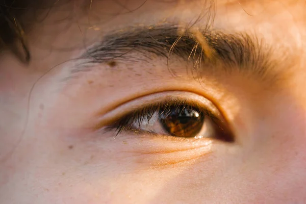 A beautiful brown Asian eye, dark eyelashes, eyebrow up close. Macro shot of a Chinese eye in sunlight. Detail of a portrait of a guy, a man. Open bold gaze forward and upward. Vision, seeing concept.