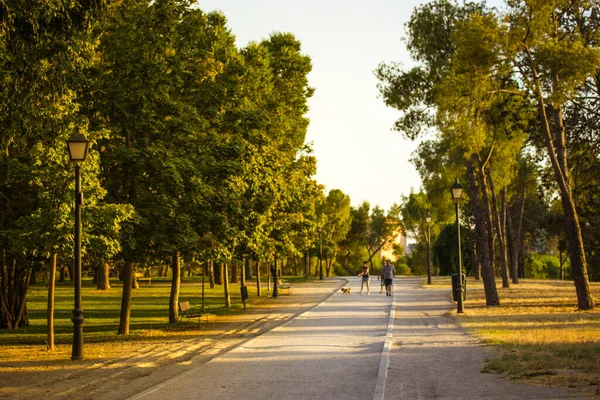 Straight Road Path Walking Sidewalk City Park Green Natural Area — Stockfoto