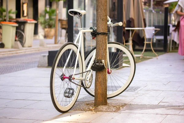 Elegant Stylish Retro White Bicycle Parked Tied Tree Trunk City — Stockfoto