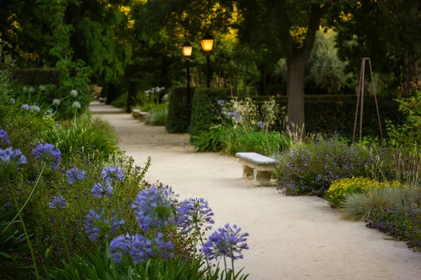 A path, a straight path in a botanical garden in the evening. A street lights illumination. Beautiful flowering bushes with purple flowers. Calm atmosphere. Natural landscape. Gardening, floriculture.