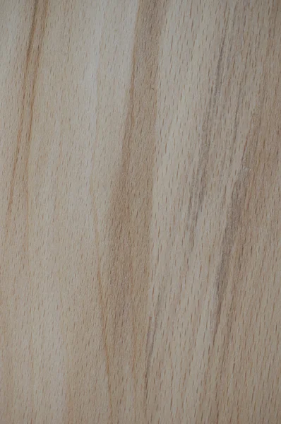 Heller Holzmaserung Hintergrund — Stockfoto