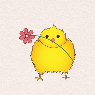 küçük güzel tavuk