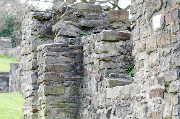 Oude kasteel bakstenen muur met mos — Stockfoto