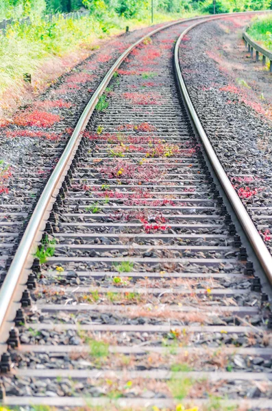 Régi vasúti síneket — Stock Fotó