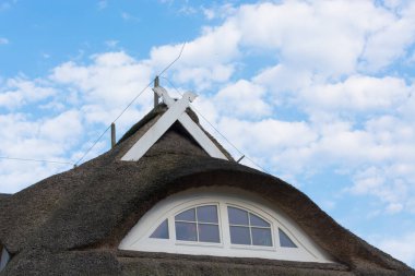 Fischland-Darss 'taki Baltık Denizi' ndeki sazdan bir evin detayları. 