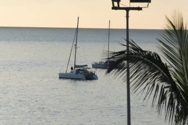 Günbatımında tropikal denizde katamaran. Yat / Lüks yelken teması